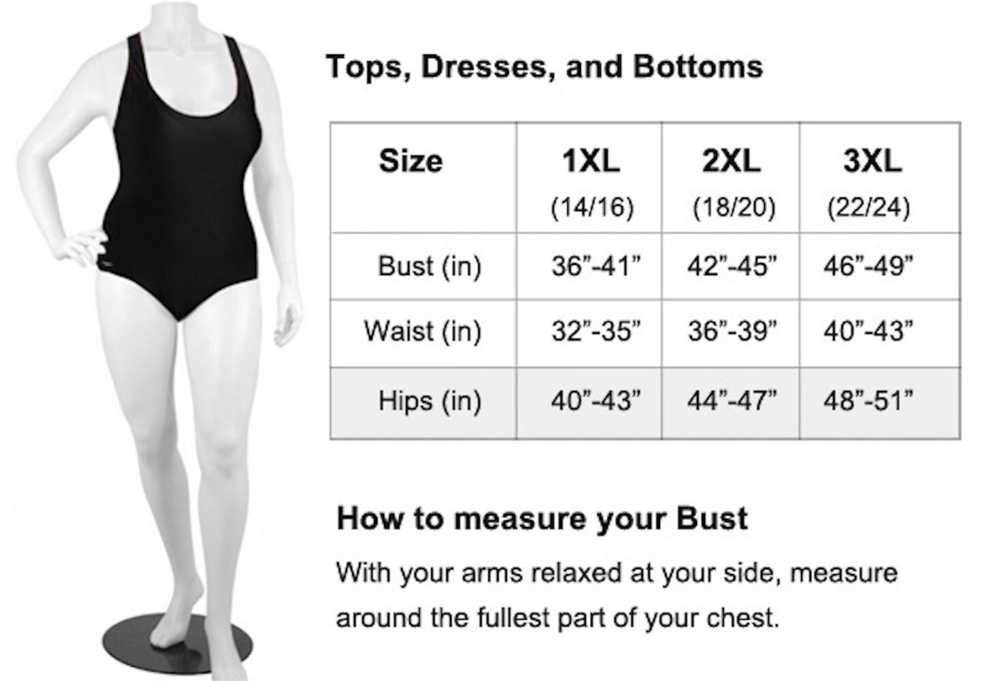 Women's Plus Size Long Sleeve Crystal Accent Semi Sheer Button Down Collar Blouse Top Fashion