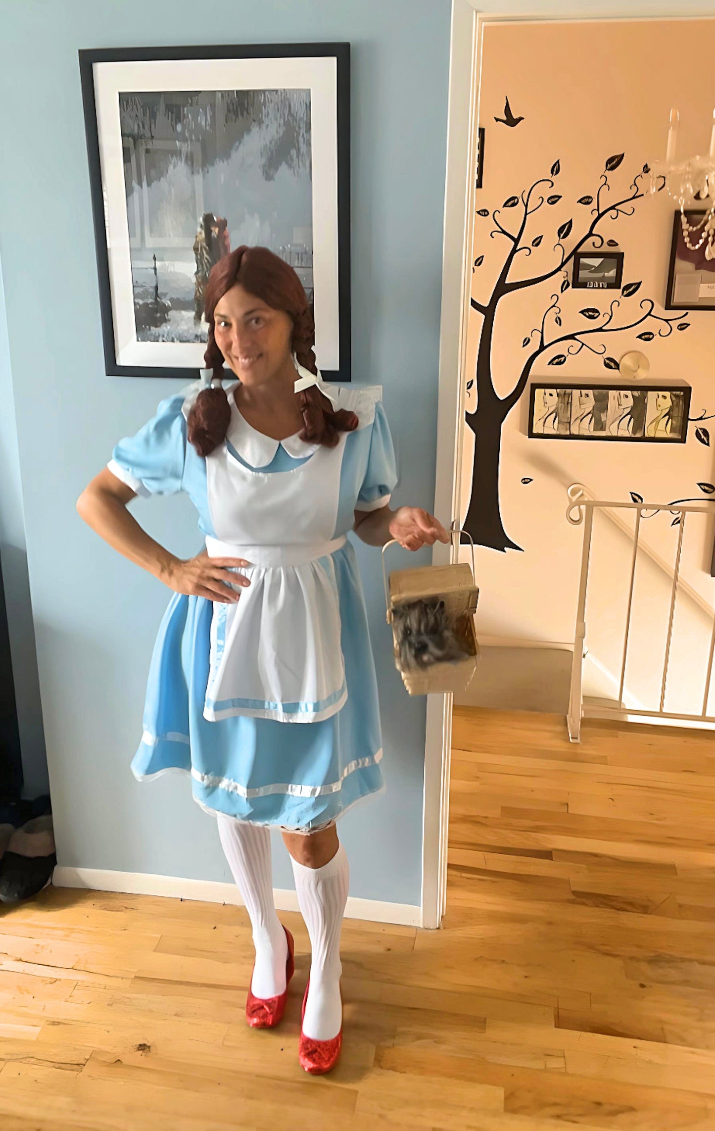 6pc Size Large Dorothy Costume Dress Set Halloween