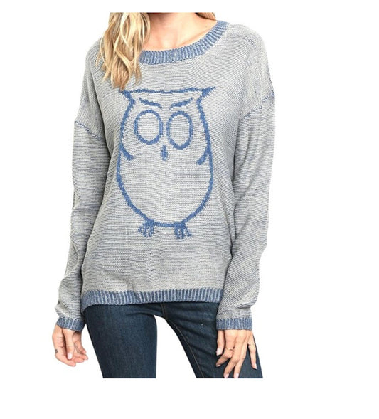Teacher Size Small "Wise Owl" Knit Sweater Top