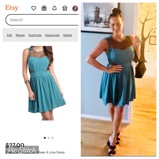 Sleeveless Polka Dot Sheer A Line Dress