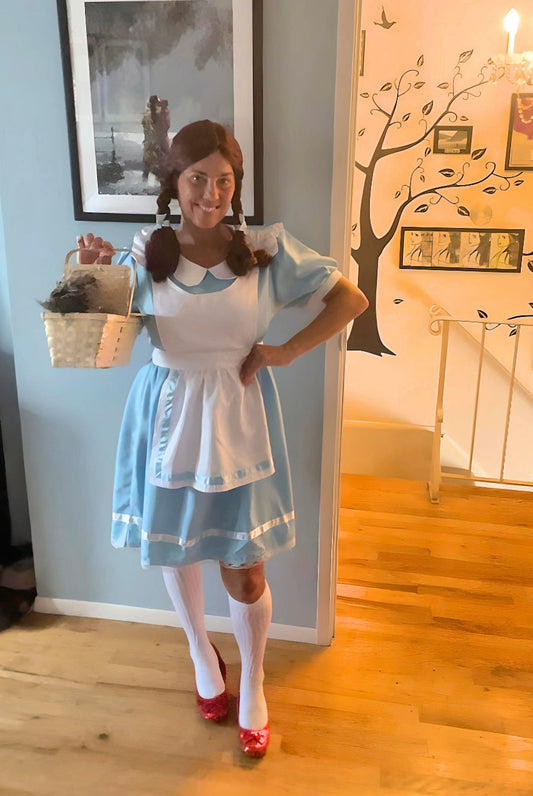 6pc Size Large Dorothy Costume Dress Set Halloween